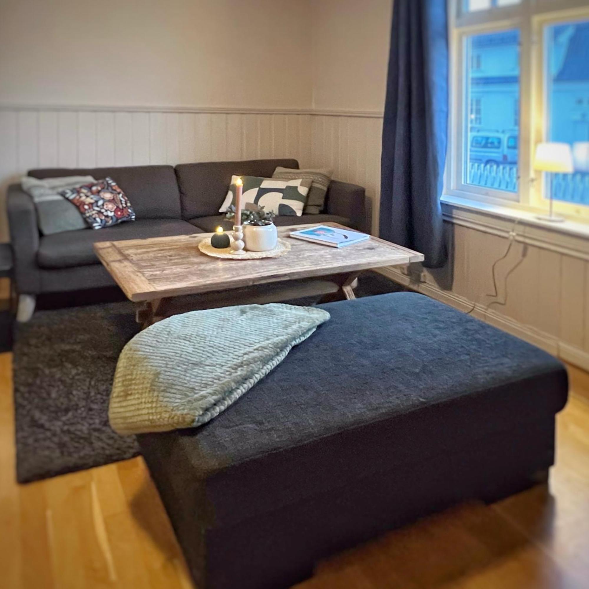 Os Apartments Halden - Sentrumsnaert Og Fredelig Zewnętrze zdjęcie
